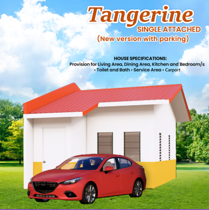 Naic Country Homes Phase 2 - Tangerine Single Attached